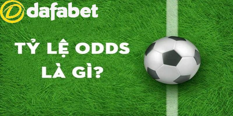 Tỷ lệ odds là gì - Tỷ lệ Hong Kong (HK Odds)